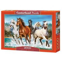 Puzzle 2000 Pcs - Castorland,7Toys