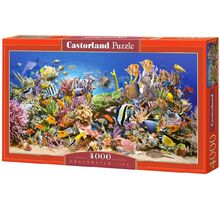 Puzzle 4000 Pcs - Castorland, 7Toys